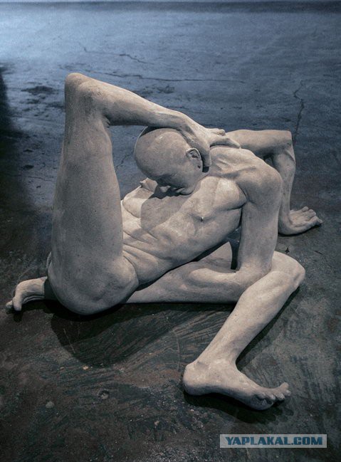 7 минут тренировок, которые изменят твое тело