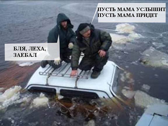 Картинки и юмор