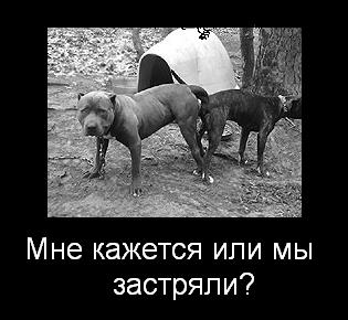 Мне кажется или мы застряли?