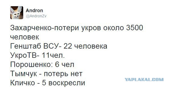 Донецк 2015, февраль