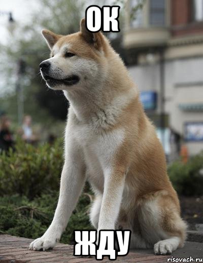 ЯП заработал!
