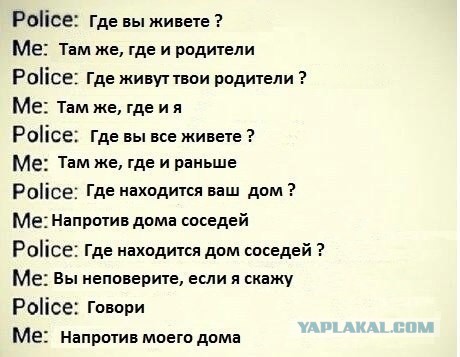 Забавные картинки из Сети