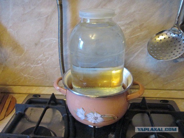 Отличный закусон к пиву