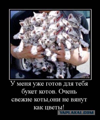 ЯП, С Днём Рождения !