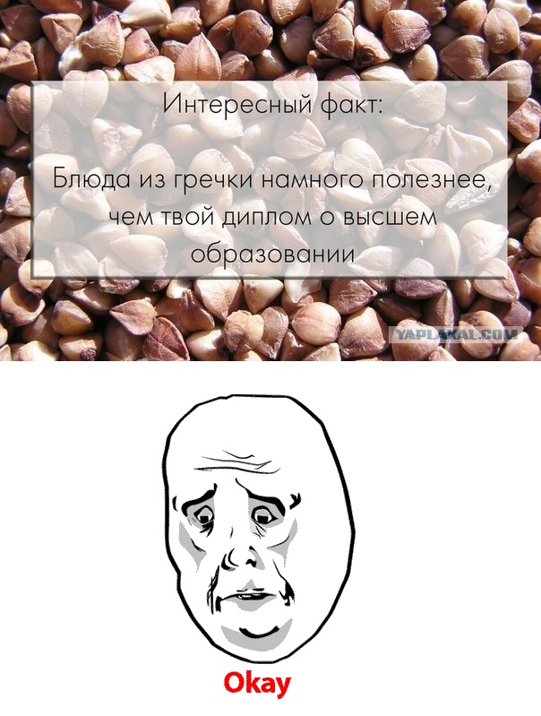 Интересные факты о разном