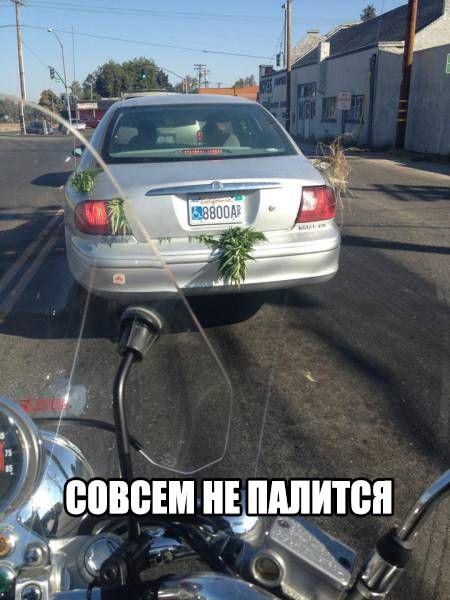 Сборник "баянов" со всего Интернета - 2