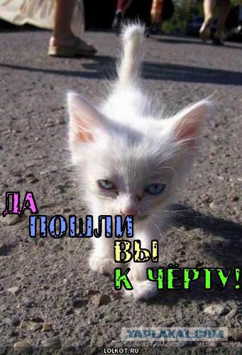 Нормативы по использованию душа, ванны и унитаза