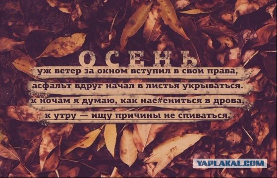 Пост обожания осени
