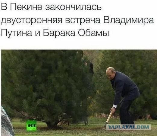 10 политических картинок часть 5