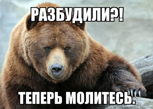 Генштаб РФ: боевики ИГ покидают позиции и пытаются