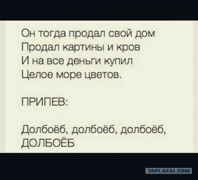 Веселые картинки
