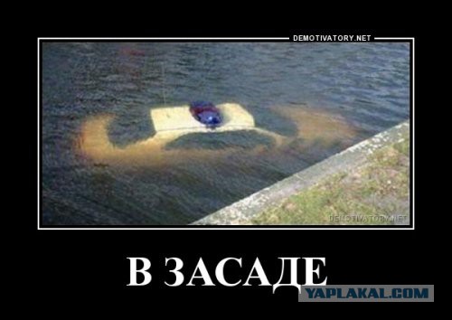 Немного картинок и демотиваторов