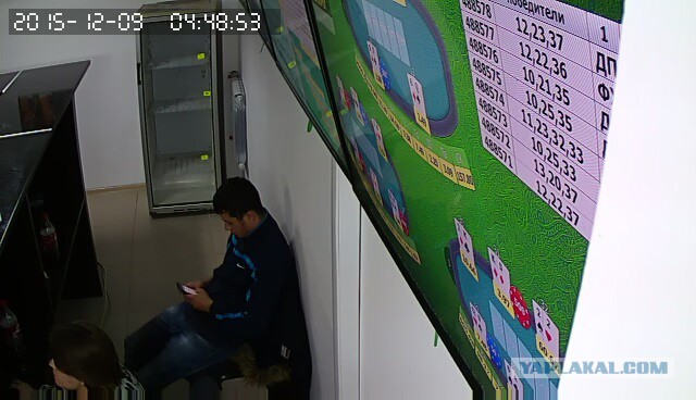 За что я люблю китайцев