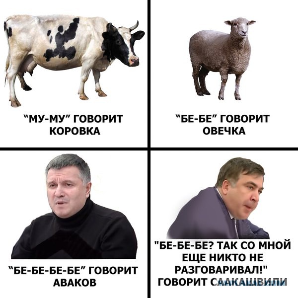Аваков обнародовал видео конфликта с Саакашвили