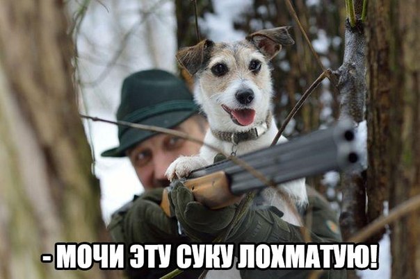 Картинки на утро вторника