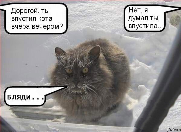 "Не убегай, нам нужно серьёзно поговорить"