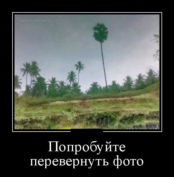 Подборка картинок из сети