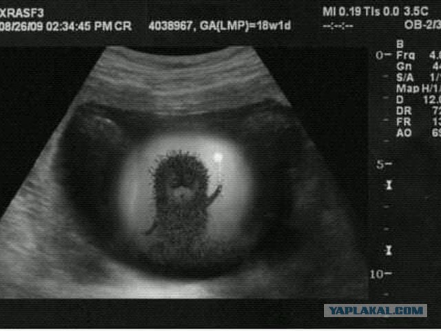 Абсурдный юмор ч.2