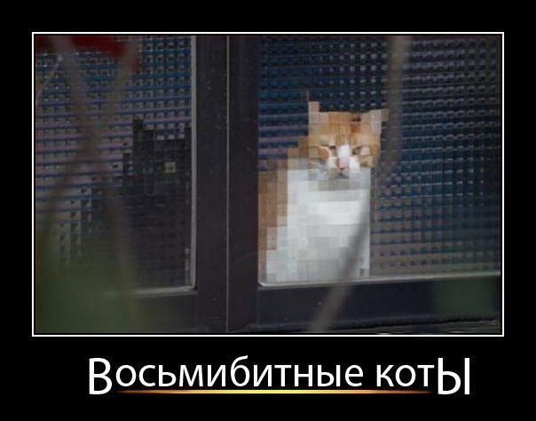 Картинки с надписями