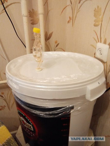 Варим пиво дома. Сухой ирландский стаут.