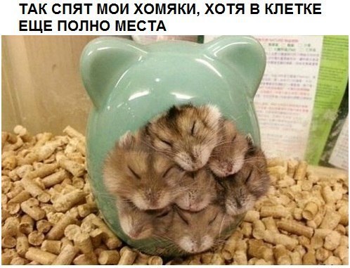 Абсурдный юмор ч.24