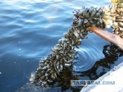 Магадан, старые и новые фотки
