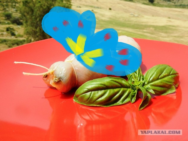 Еще одна курица (18+)