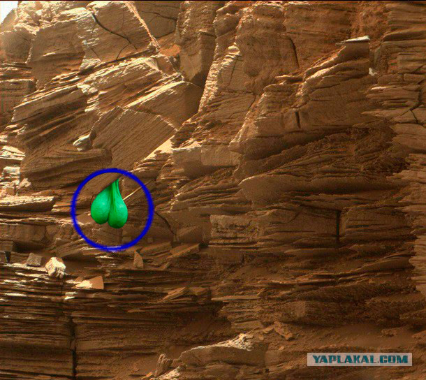 Получены первые цветные фото марсианских скал с зонда Curiosity.