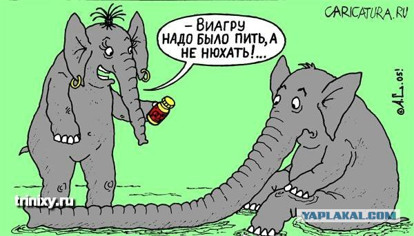 Наркоман, штоле? Тогда заходи