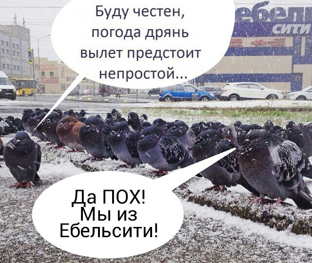 Разные картинки