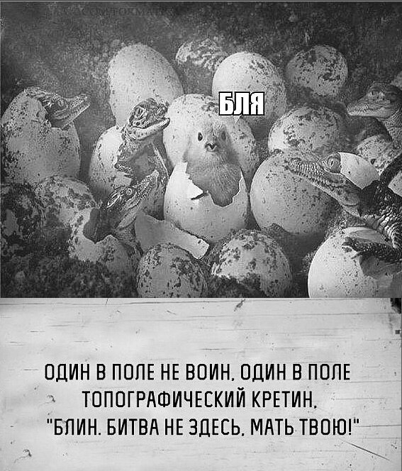 Эй, люди, может хватит уже?!?
