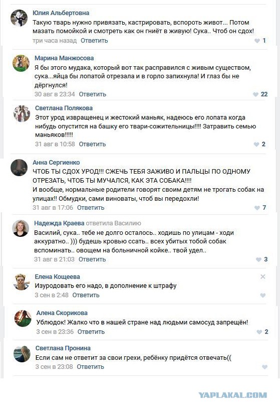 В Тюмени велосипедист выстрелил собаке в пасть на детской площадке 16+