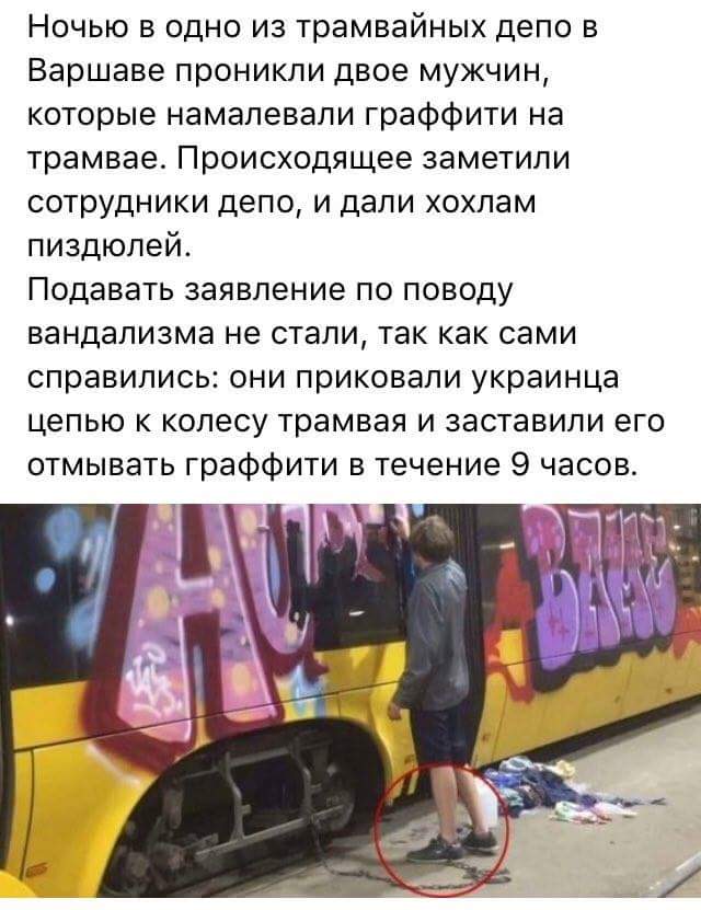 Подборка интересных и веселых картинок