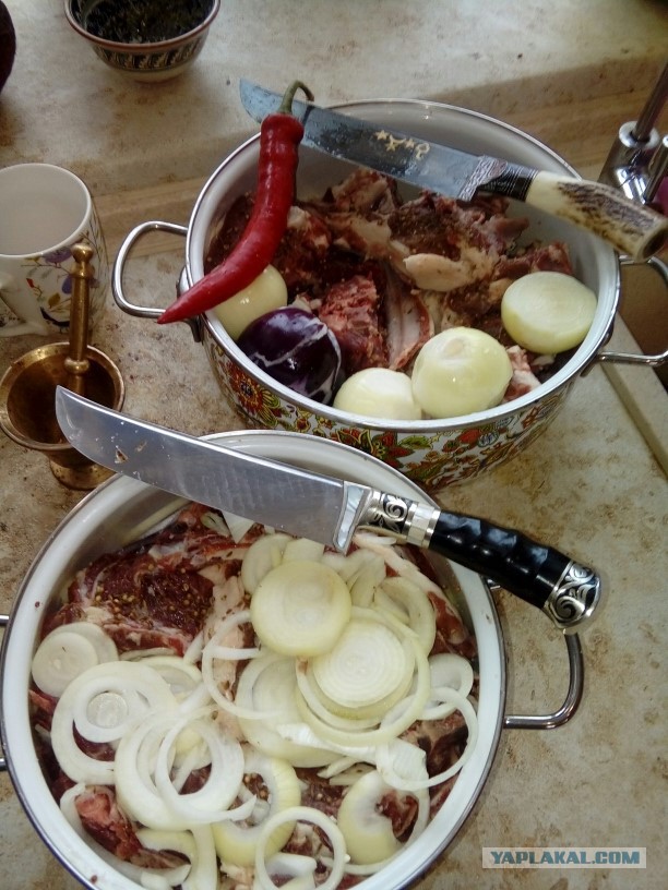 Продам Пчаки