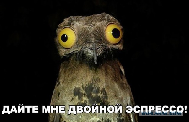 Подборка интересных и веселых картинок