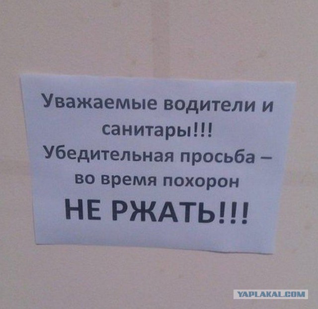 30 объявлений, мимо которых вы просто не сможете пройти