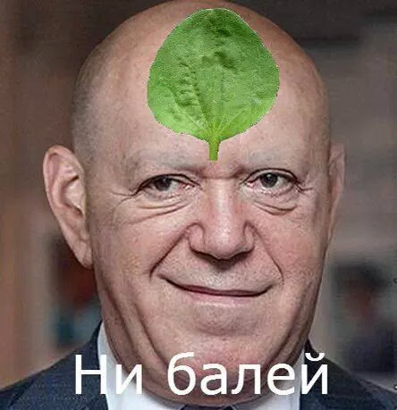 Кобзон в коме