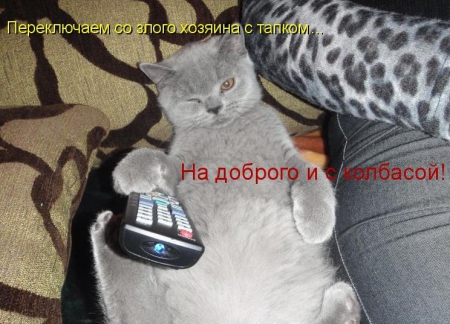Эти смешные животные!