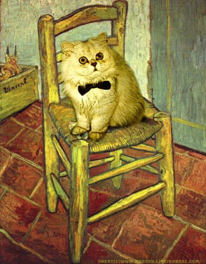 Котовторник: Кошки и ягнёнок