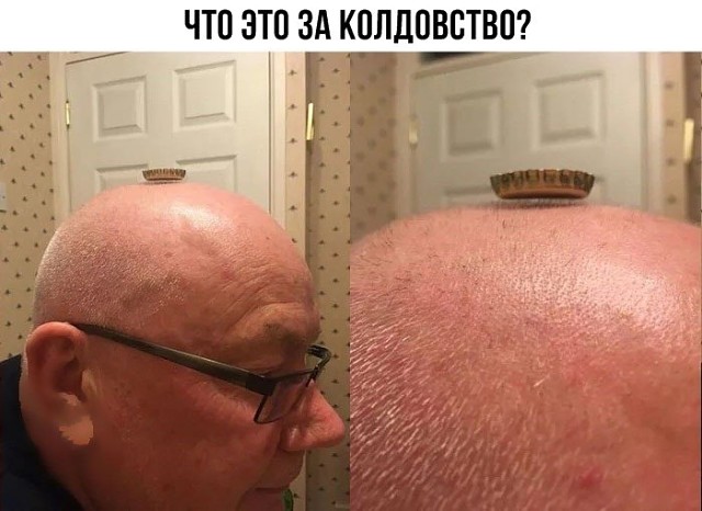 Лента прикольных картинок