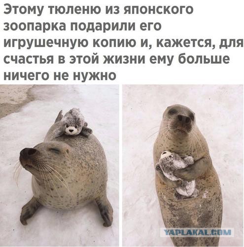 Немного картинок в эту субботу