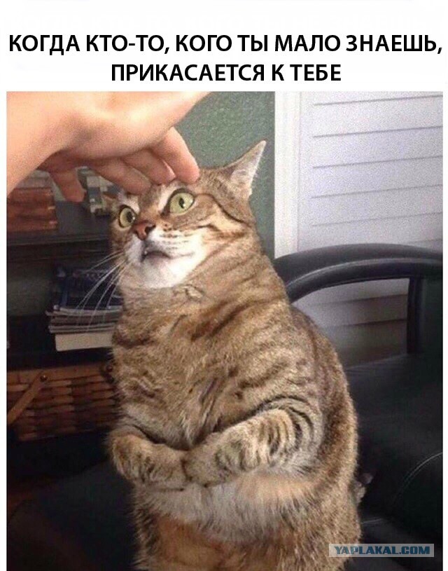 Немного картинок для настроения