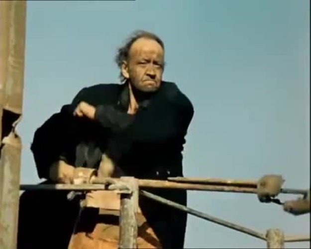 Пустыня Сахара постепенно зеленеет