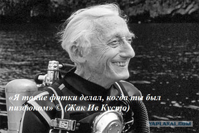 Невероятный подводный мир