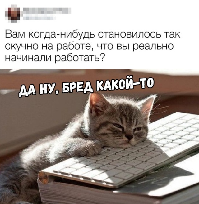 Солянка картинок из интернета
