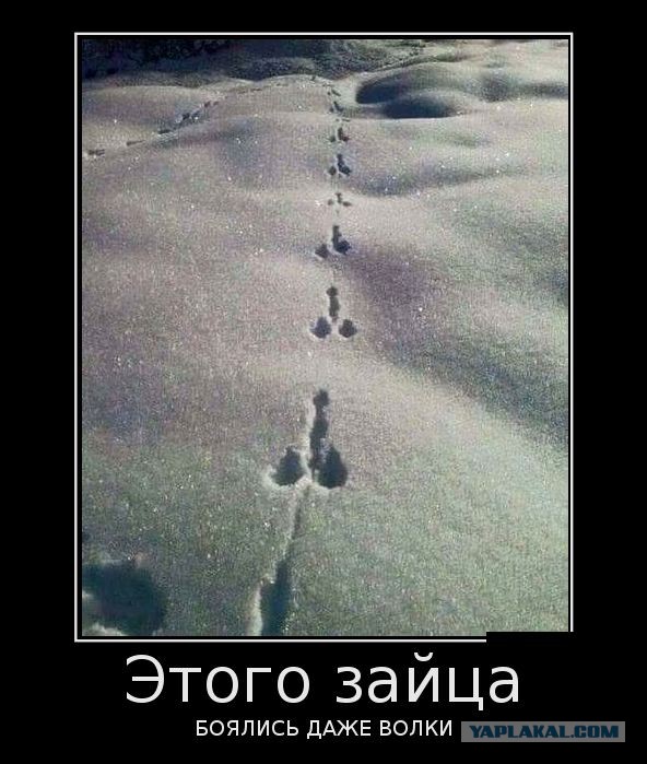 Немного картинок для настроения