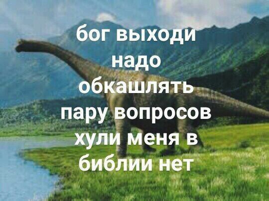 Из жизни вытесняется понятие СТЫДА