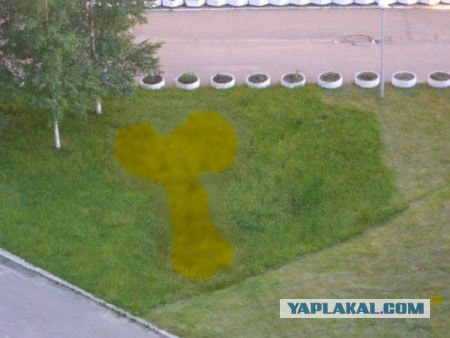 Косить нужно уметь!