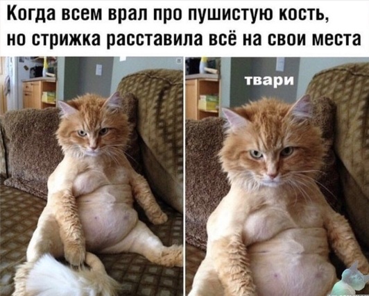 «Картинки разные нужны, картинки разные важны»  18.09
