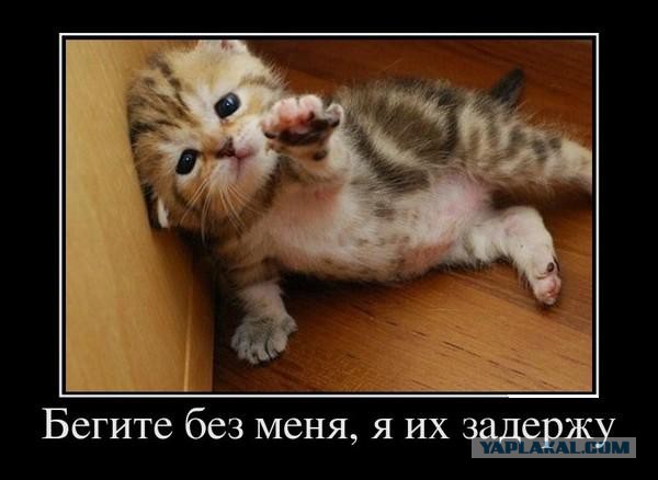 ​​Сенатор от Бурятии Вячеслав Мархаев, внезапно рванул чеку и в верхней палате парламента прозвучала наконец правда